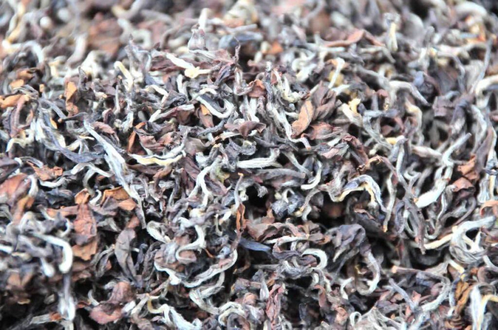 Production Process of Oriental Beauty Tea