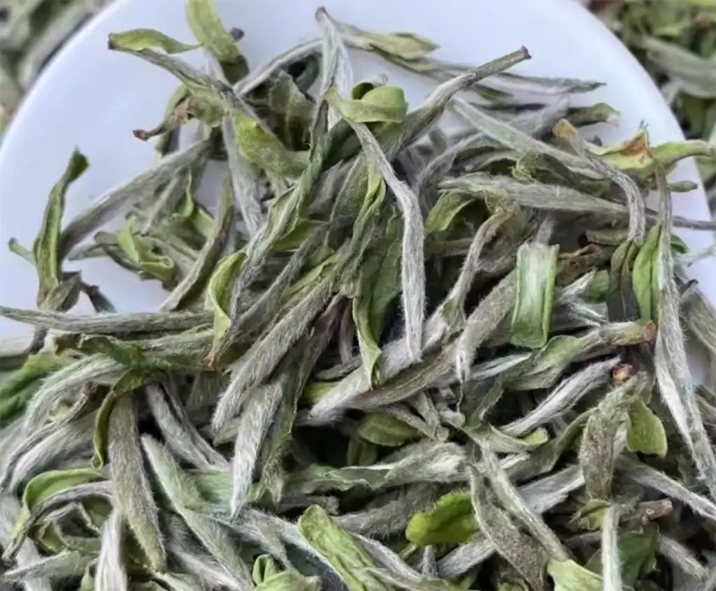 壽眉是什麼茶D