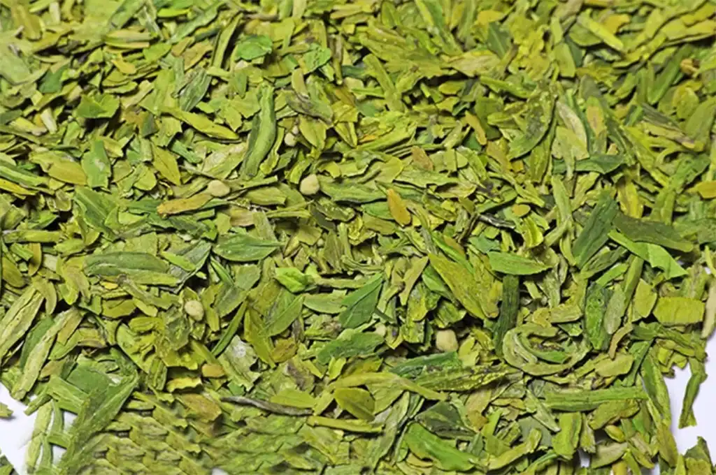 綠茶都有兒茶素嗎