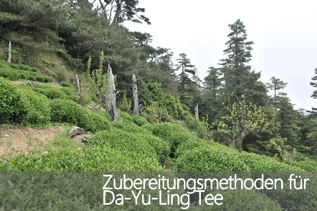 Zubereitungsmethoden für Da-Yu-Ling Tee