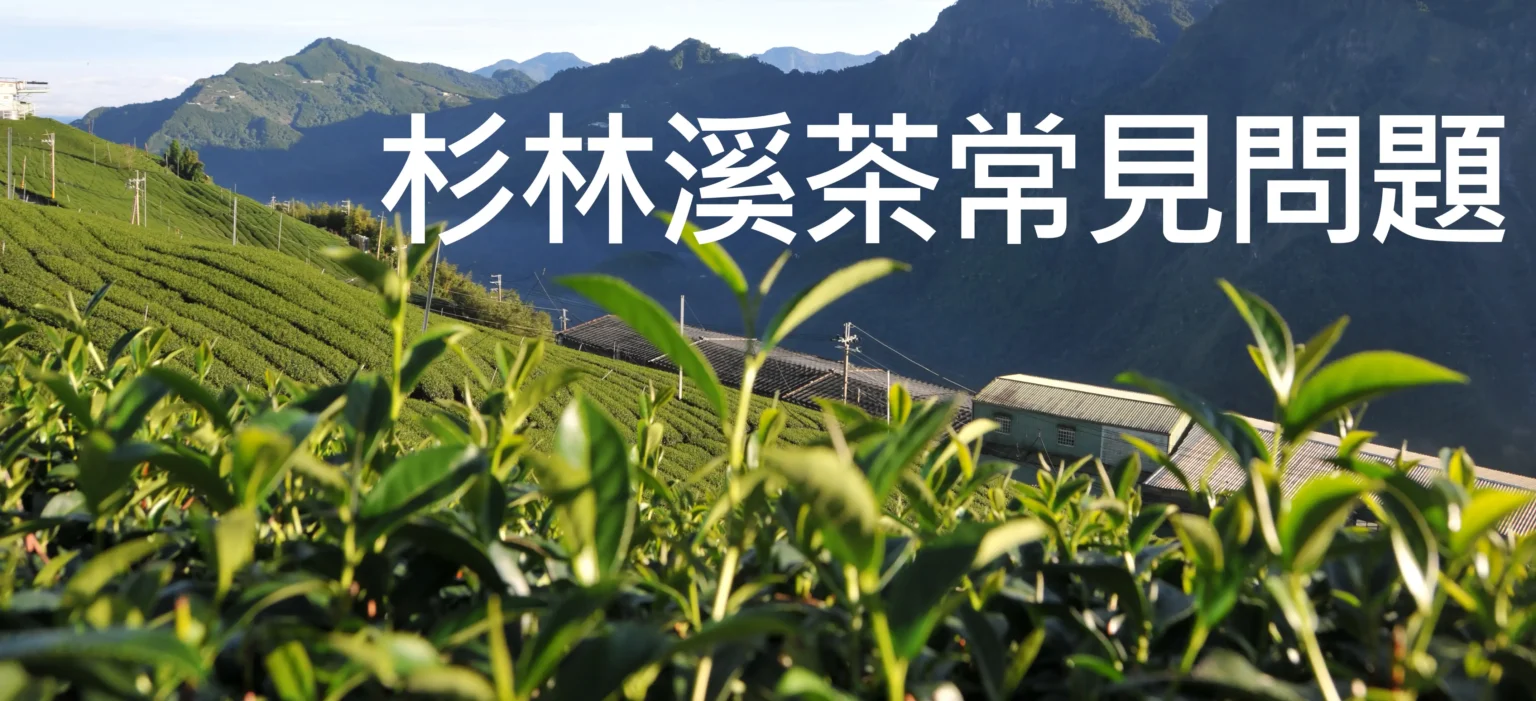 杉林溪茶常見問題