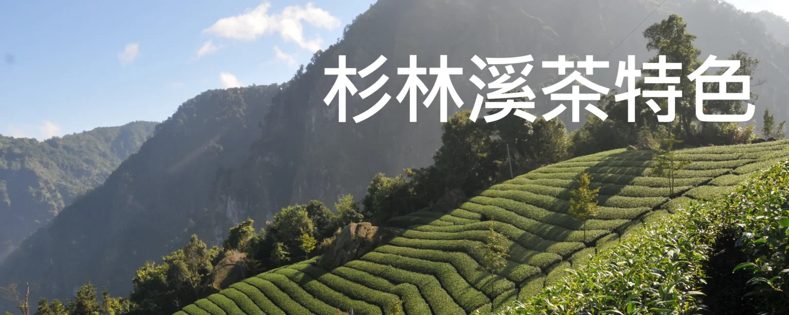 杉林溪茶特色