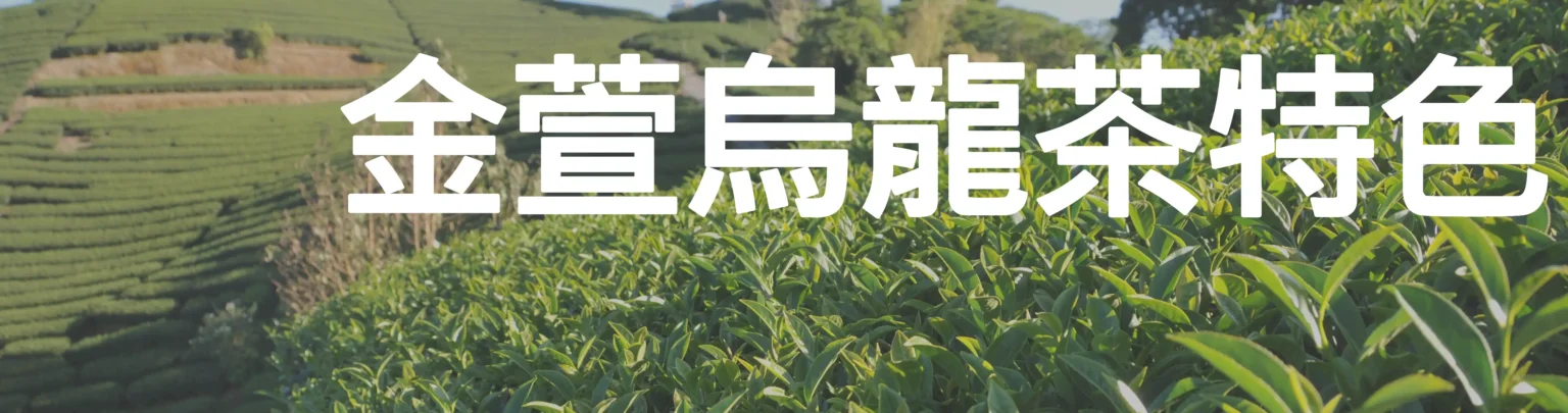 金萱烏龍茶特色