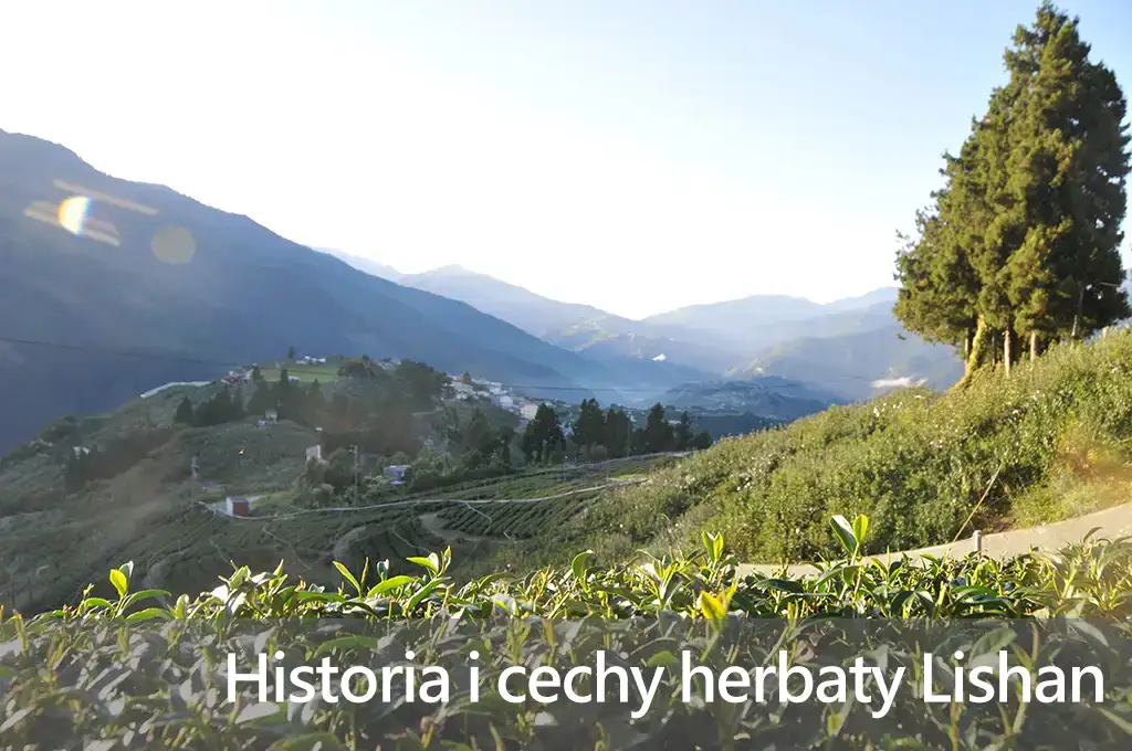 Historia i cechy herbaty Lishan